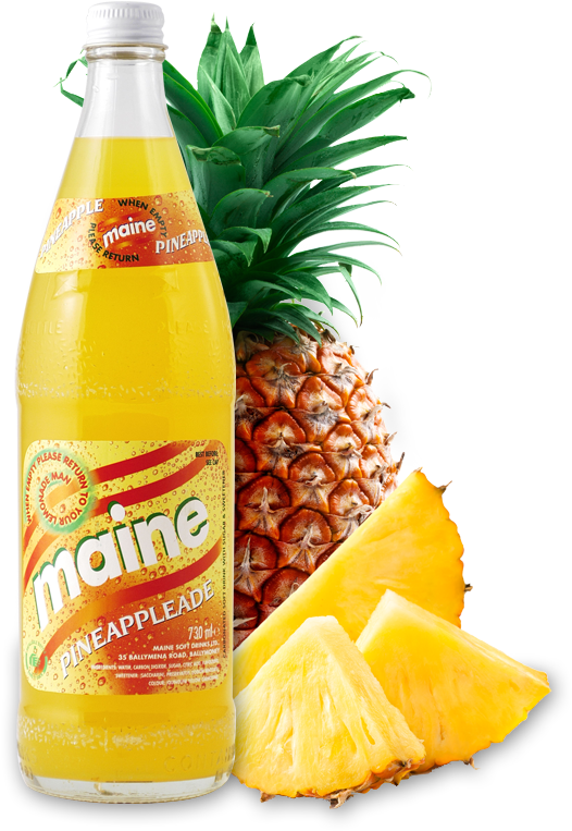 Ananas Fruit (700x791)