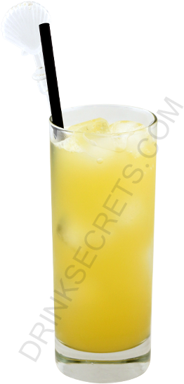 A Fuzzy Thing Recipe - Fuzzy Navel (450x600)