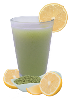Lemon Matcha Green Tea Flavored Drink Mix - Lemon Matcha Green Tea Ideal Protein (350x350)