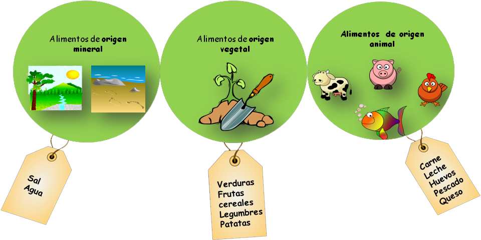 Alimentos De Origen Animal Vegetal Y Mineral Imagui - Origen De Los Alimentos Animal Vegetal Y Mineral (978x556)