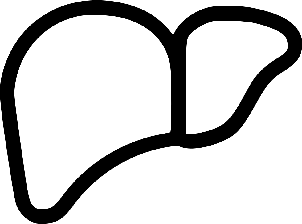 Health Liver Organ Surgery Human Body Part Comments - Health Liver Organ Surgery Human Body Part Comments (980x728)