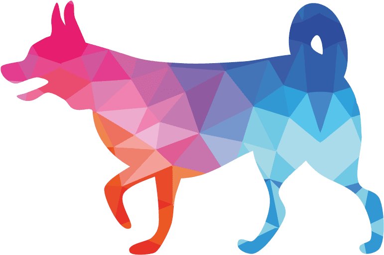 Let's Get Connected - Czechoslovakian Wolfdog (869x610)