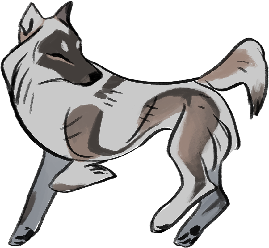 Vogar Pack Information ∞ Vogar Is Not An Official Group - Cartoon (894x894)