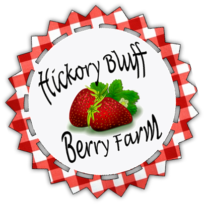 Hickory Bluff Berry Farm - Hickory Bluff Berry Farm (405x406)