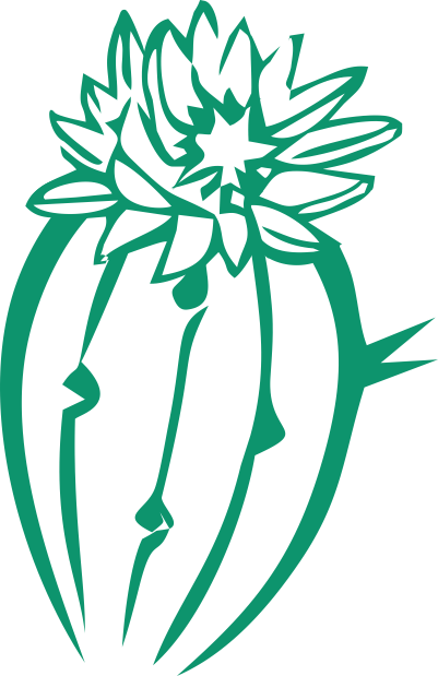 White Cactus Sorbet Restores And Maintains Perfect - Exfoliation (401x619)