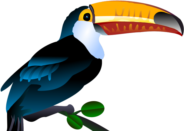 Toucan Clipart Painted - Transparent Background Toucans Clipart (640x480)
