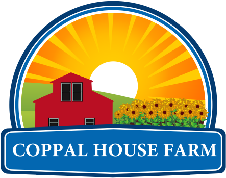 Other Area Farms We Recommend Visiting - Lee (577x370)