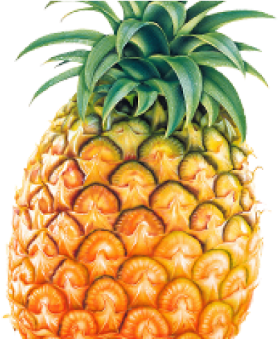 Pineapple Png Transparent Images - Individual Picture Of Fruits And Vegetables (640x480)