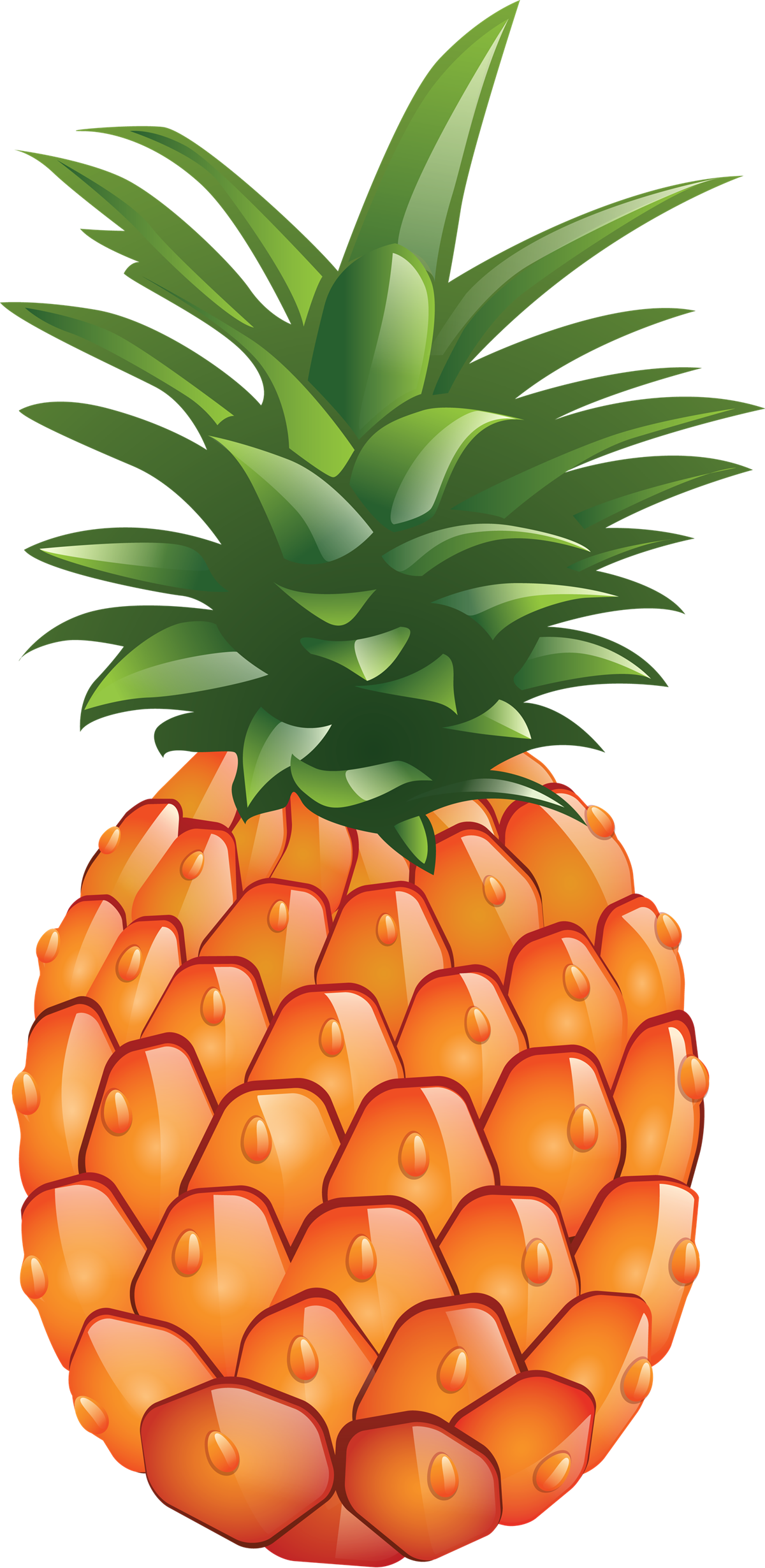 Pineapple Png Free Download - Portable Network Graphics (1200x2460)