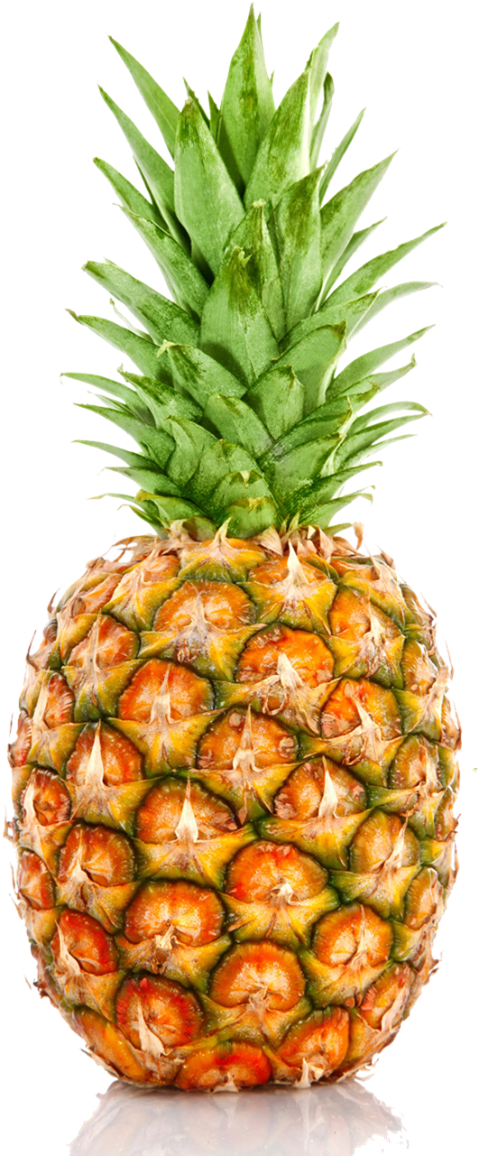Pineapple Png Background - Pineapple Png (1600x1300)