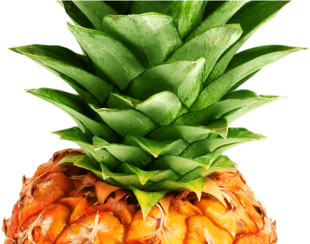 Pineapple Png Transparent Images - Pineapple Canvas (640x480)