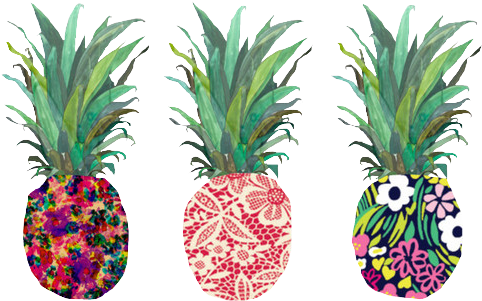 Pineapple Tumblr Transparent (500x303)