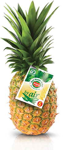 Del Monte Gold® By Air - Del Monte Gold Pineapple (331x505)
