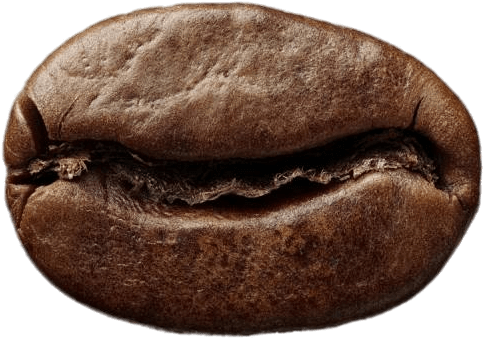 Amazing Coffee Bean Clipart - Hippie Beans (600x414)