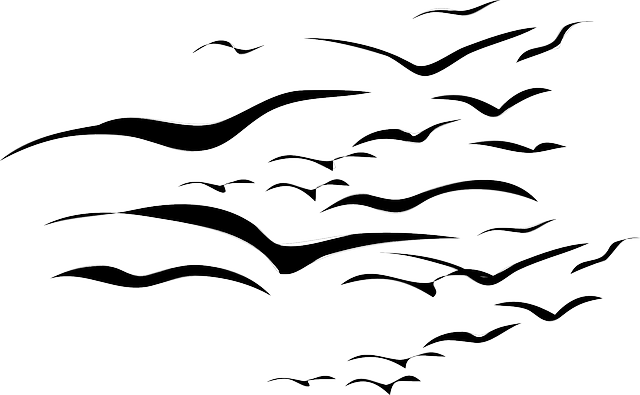 Flock Of Birds Clipart - Flock Of Birds Tattoo (640x395)