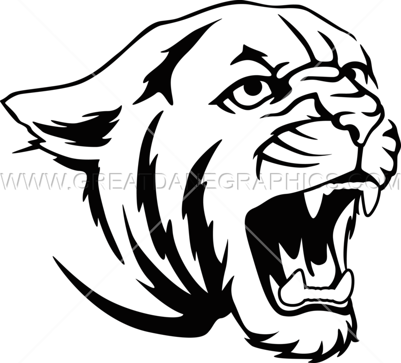 Related Categories - Cougar Roaring Png (825x747)