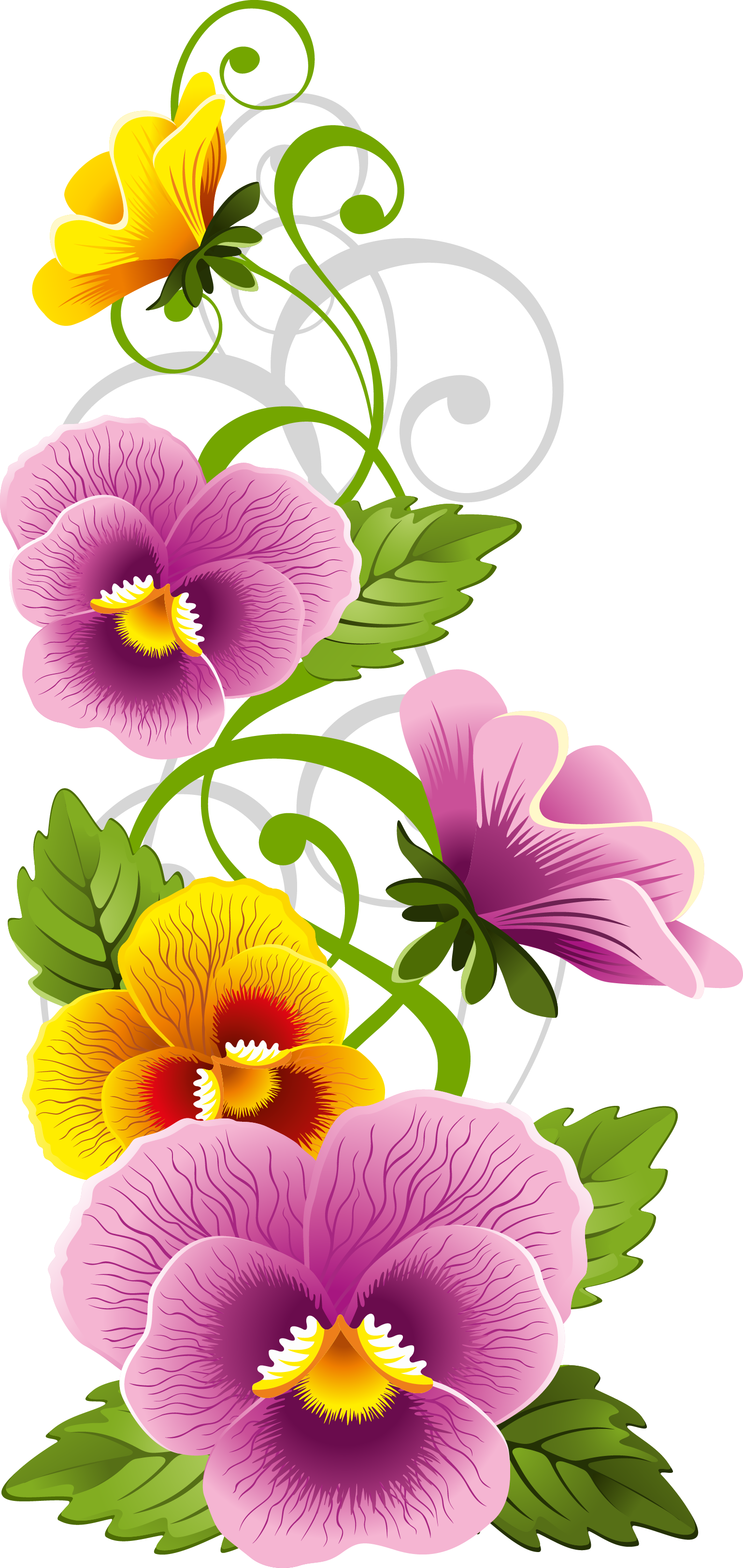Pansy Flower Clipart - Dibujos De Pensamientos Flores (1538x3247)