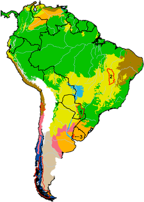 Argentina Distribution Orange = Grasslands - South America Climate Map (480x695)