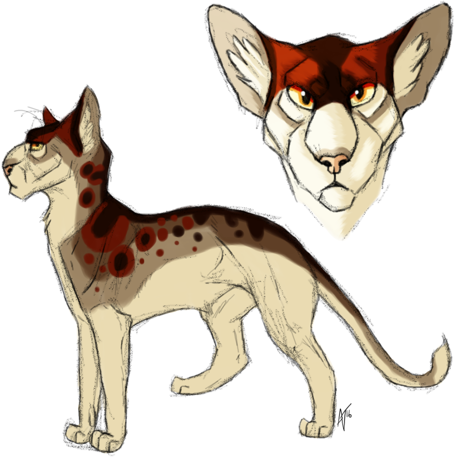 Character Design By O0masked-bandit0o - Red Fox (1024x1024)