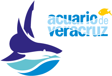 Acuario De Veracruz Vector Logo - Acuario De Veracruz Logo Png (400x400)