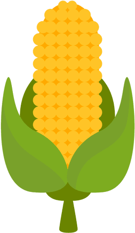 Corn Cartoon Icon Transparent Png - Corn Cartoon Png (512x512)