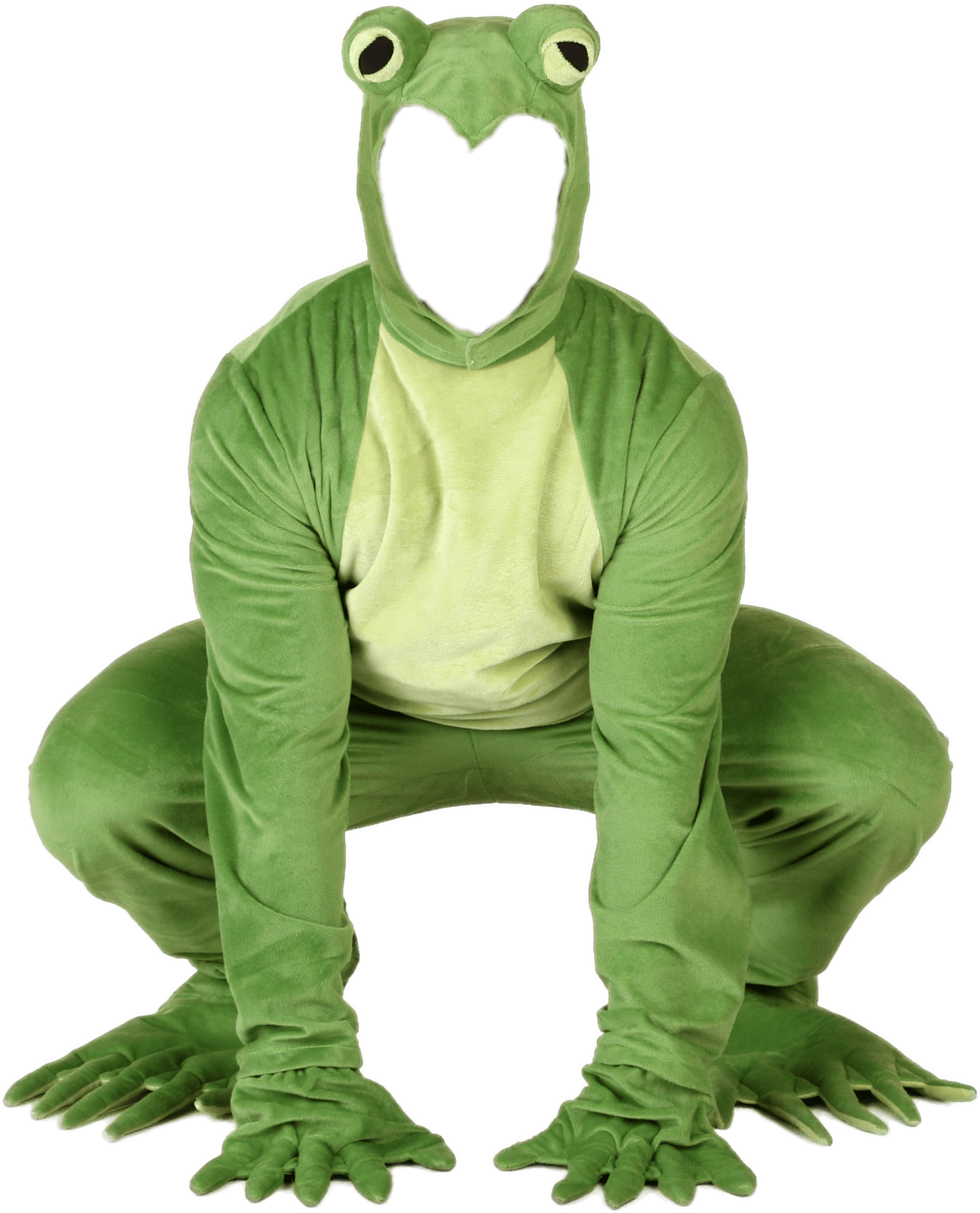 Harry Styles As A Frog - (1750x2500) Png Clipart Download. 