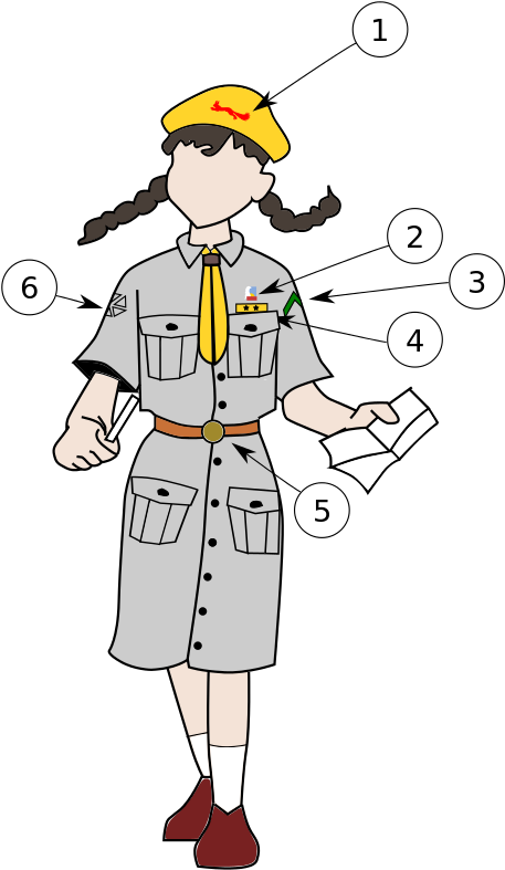 This Image Rendered As Png In Other Widths - Mundur Harcerski Rysunek (500x829)