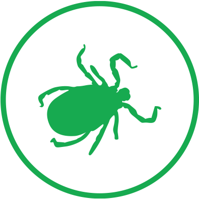 At Mr - Icon (400x400)