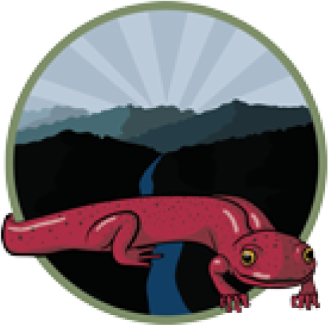 Funded By The National Science Foundation, Coweeta - Cartoon (900x500)