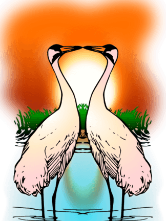 Valessiobrito两个爱鸣鹤剪贴画 - 30th Wedding Anniversary / Aunt And Uncle - Cranes (324x432)