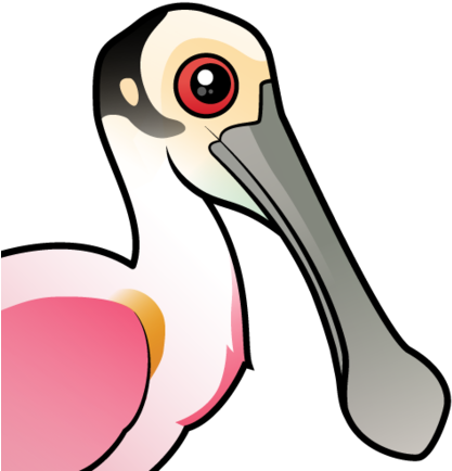 About The Roseate Spoonbill - Spoonbills (440x440)