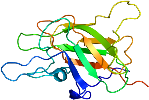 Available Structures - Coagulation Factor 8 Protein (500x344)