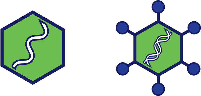 How Is Gene-based Therapy Delivered - Piaggio Logo Transparent Png (820x400)