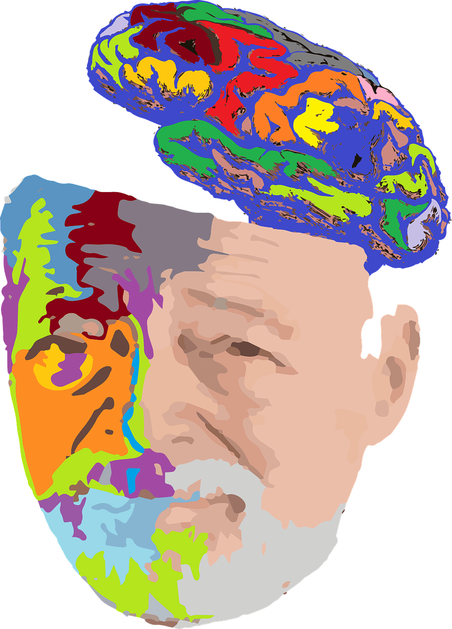 Plastic Opinions Image From Pixabay - Cerebro Abuelo (920x1280)