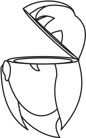 Open Mind Person - Illustration (550x550)