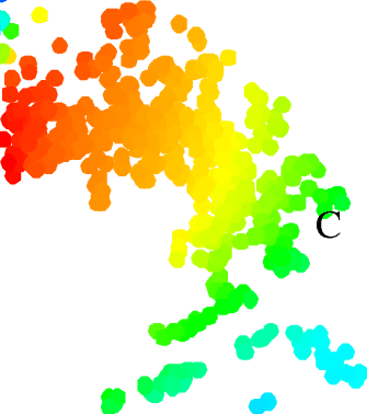 Distance P Value Map And Regression Coefficient Distribution - Distance P Value Map And Regression Coefficient Distribution (335x378)