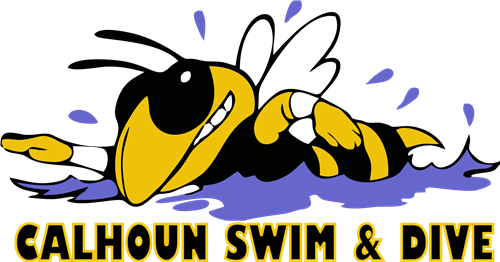 Swim Logo - Georgia Tech Yellow Jackets (500x262)