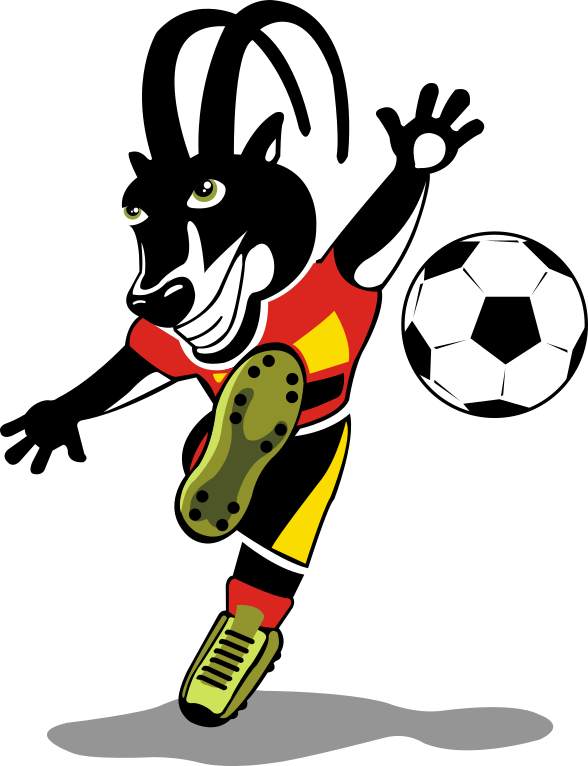 2010 Africa Cup Of Nations 2010 Fifa World Cup 2013 - African Cup Of Nations 2010 (588x766)