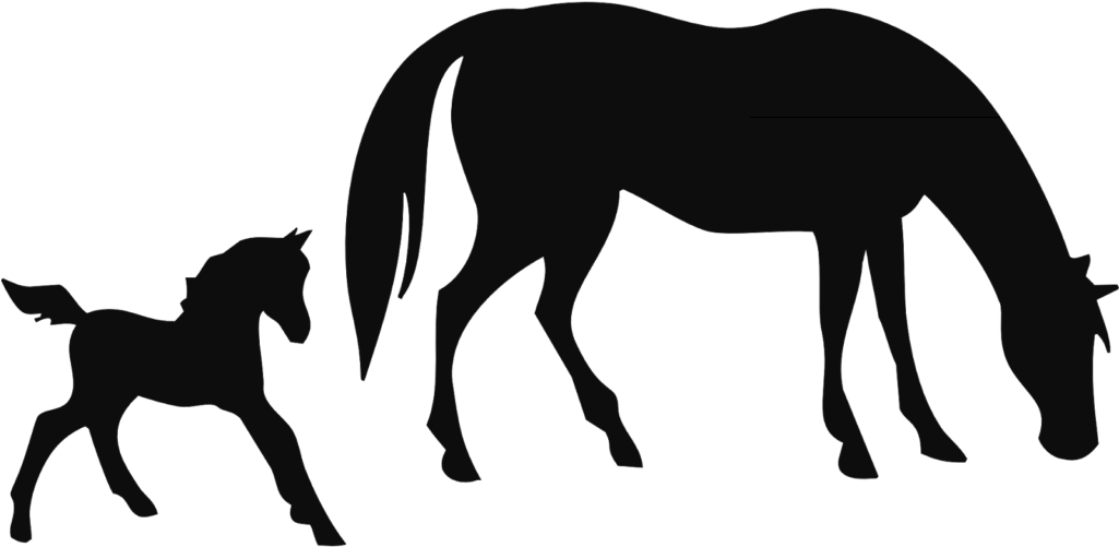 Animals 359611 Movie Clipart Free Horse - Black And White Silhouette Horse Clipart (1024x512)