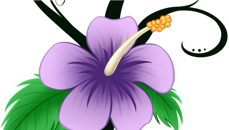 Hibiscus Flower In Cartoon (808x424)