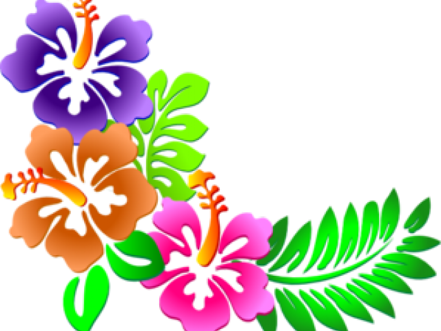 Hibiscus Clipart Corner - Hibiscus Flower Clipart (640x480)