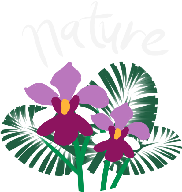 Nature - Brain (646x646)