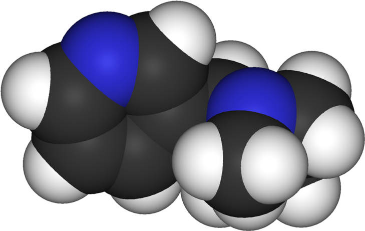 Nicotine And The Chemistry Of Murder - Nicotine (800x532)