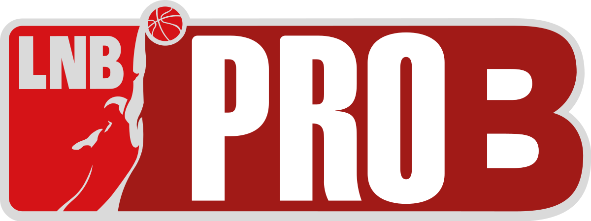 Logo Pro B (1200x449)