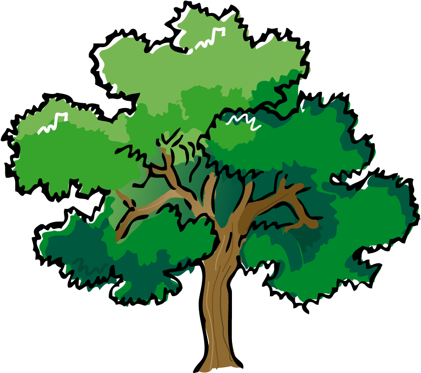 Tree Clipart Forest Tree - Oak Tree Clipart (983x784)