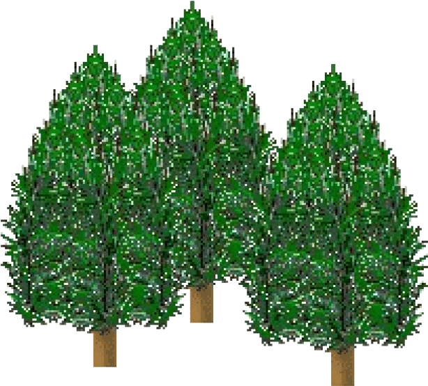 Pine Tree Forest Page 1 Pine Tree Forest Page 2 Pine - Pine Tree Clip Art (640x610)