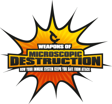 Immune System Army - Babraham (379x352)