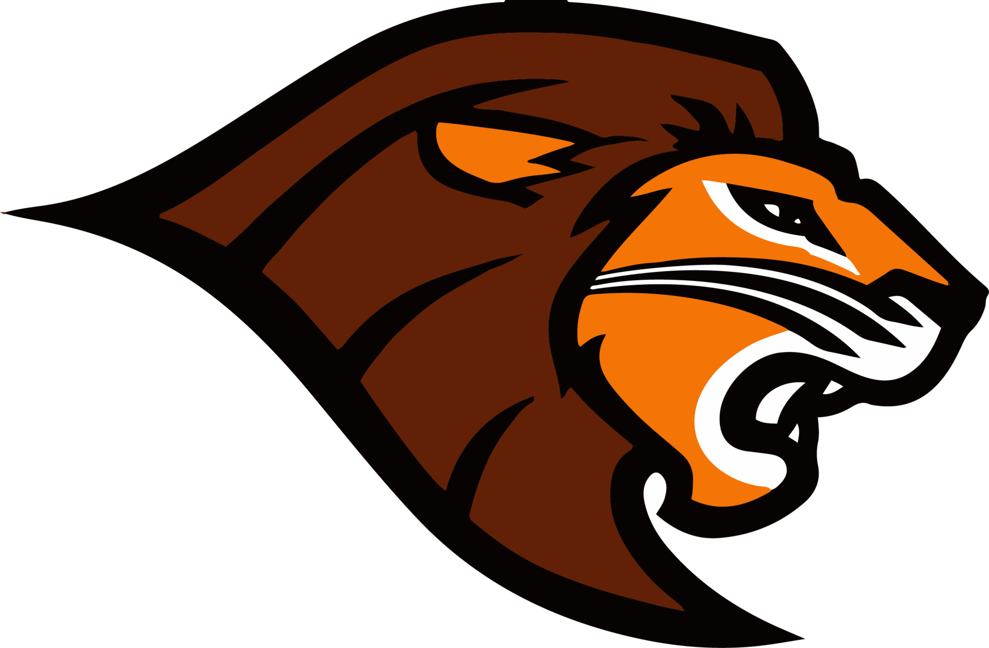 Leones Anahuac (2000x1310)