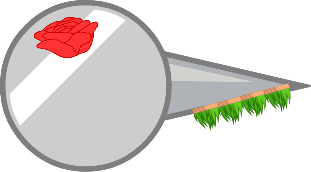 Hawaii Naily Body - Wiki (1072x593)