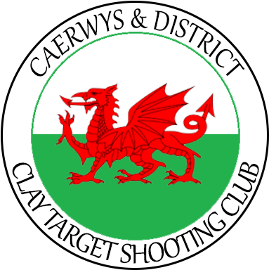 Flag With Dragon Name (400x400)